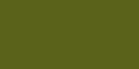Secondary Accent green